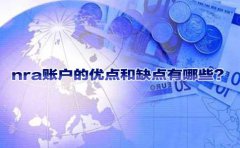 nra賬戶的優(yōu)點(diǎn)和缺點(diǎn)有哪些？