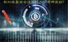 新加坡基金會注冊代辦公司哪家好？