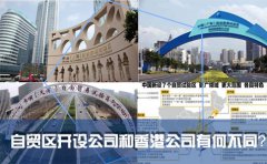 在國內(nèi)的自貿(mào)區(qū)開設(shè)公司和注冊香港公司有何不同？
