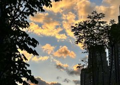 2025上半年，中國(guó)企業(yè)出海刷新全球副本：更猛、更強(qiáng)、更聰明