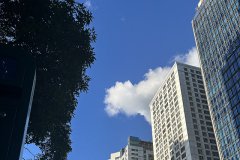 谷歌支付登陸沙特，支付寶于2026年接入，企業(yè)出海中東市場(chǎng)開(kāi)辟新的合作機(jī)遇