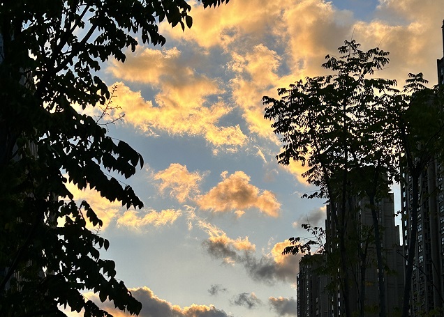 日本公司董事變更辦理全步驟指南